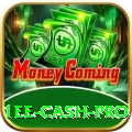1ee Cash Pro