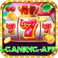 z777 Champion Gaming App